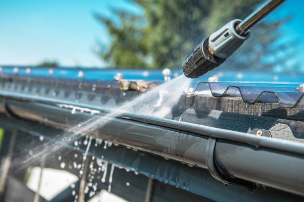 Best Power Washing Near Me  in Paloma Creek, TX