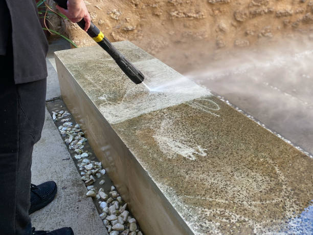 Best Affordable Power Washing  in Paloma Creek, TX
