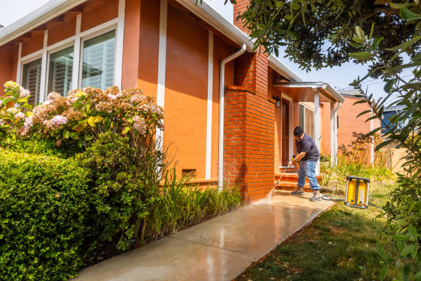 Best Deck Cleaning Services  in Paloma Creek, TX
