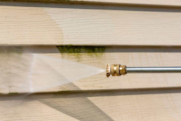 Best Pressure Washing Driveway  in Paloma Creek, TX