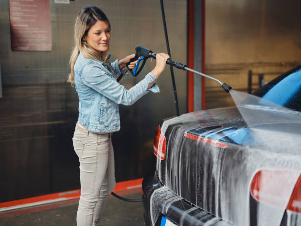 Best House Pressure Washing  in Paloma Creek, TX