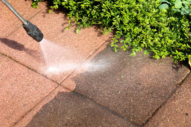 Best Exterior Home Cleaning  in Paloma Creek, TX